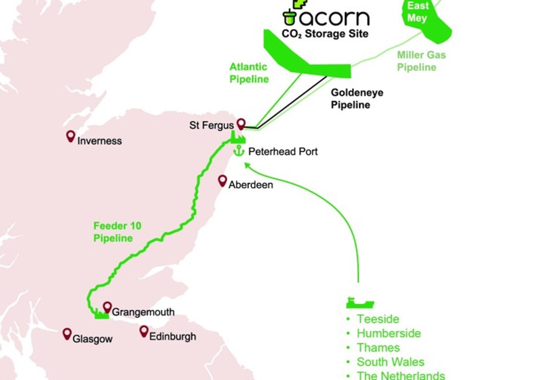 acorn-green-map-2-web-15994